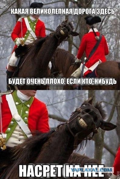 Подборка картинок из сети