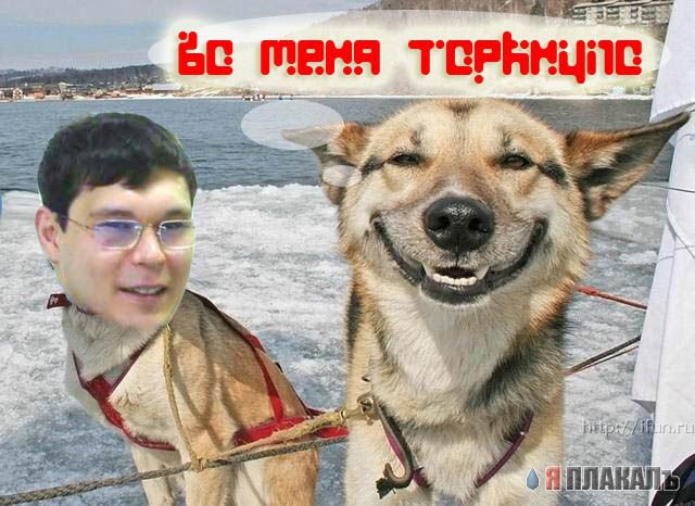 Месье Юрист!