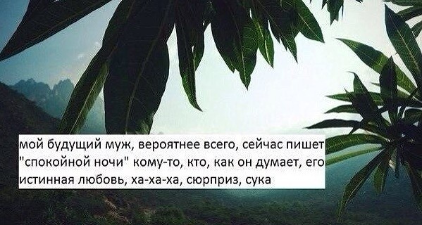 Смешные комментарии из социальных сетей 12.02.2016