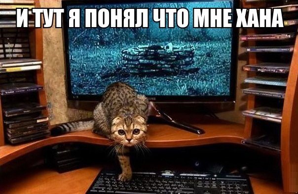 Картинки
