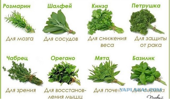 Картинки из сети