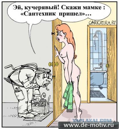 Картинки из сети (07.04.16)