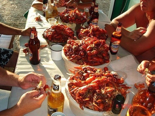 Разные фото. Прикольные и красивые