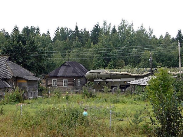 Подборка красивых и прикольных фото
