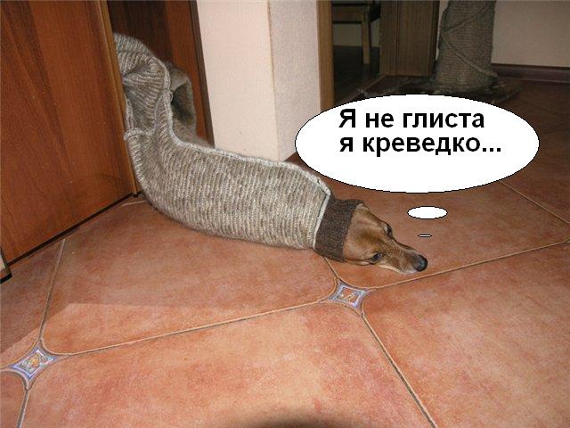 Глиста