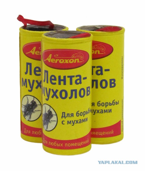 Крупный «улов» липких ловушек для насекомых