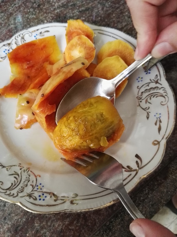 Как правильно есть кактусы + ловля карася в пустыне