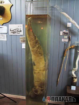 Девятка самых странных мест в мире