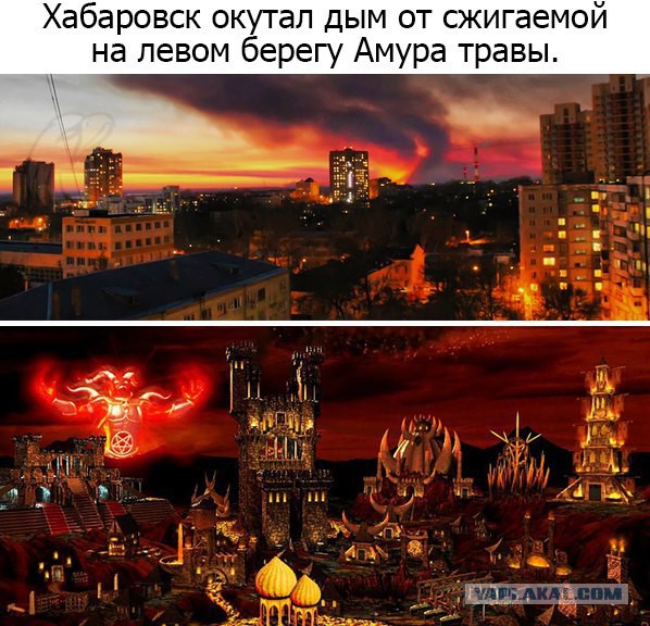 Живодерки из Хабаровска