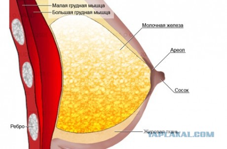 Декольте девушек из соцсетей