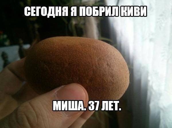 Смешные комментарии из социальных сетей 23.06.2017