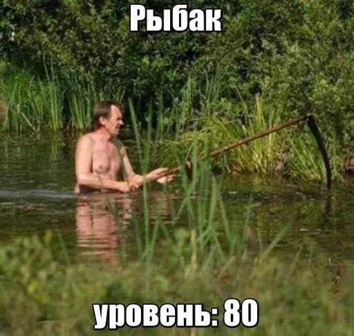 Подборка приколов на любой вкус!