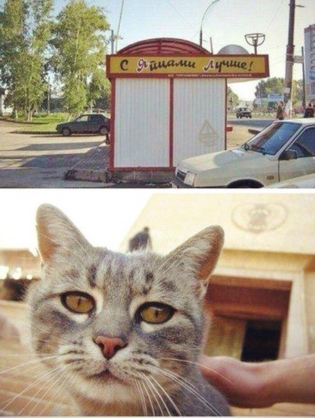 Ударная доза тупежа и лёгкой наркомании к выходным