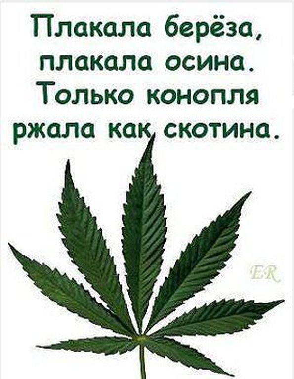 Днем рождения, картинка с надписью скотина