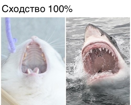 Немного картинок в этот четверг