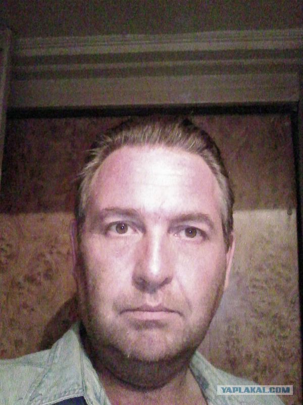 Командировка. В леса