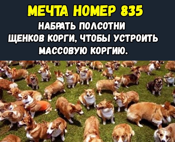 Странный юмор