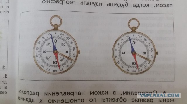 У дочки в учебнике "Окружающий мир"