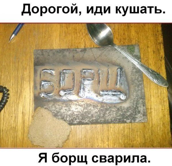 13166885.jpg