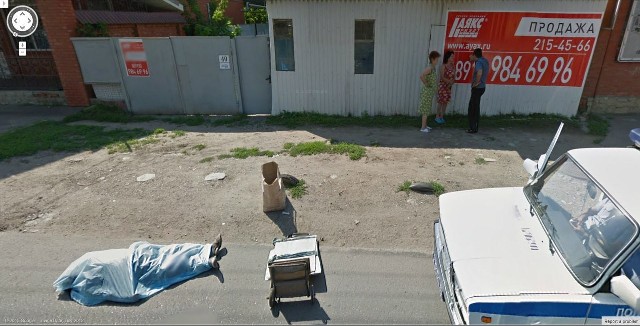 Google Street View показал топ-10 животных, случайно попавших в кадр