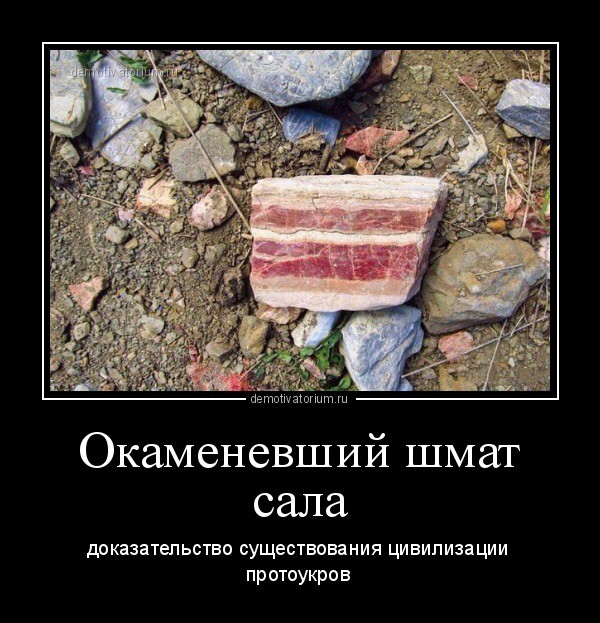 О присутствии и пользе сала в рационе