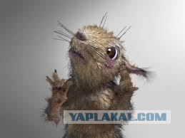 Реклама, такая реклама