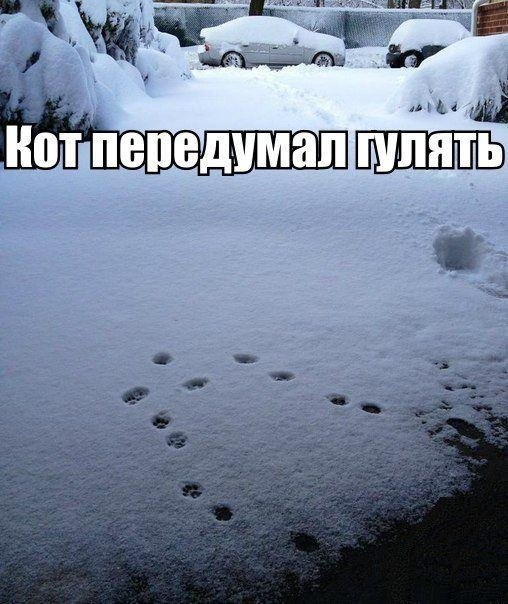 Так себе картинки 29.07.20