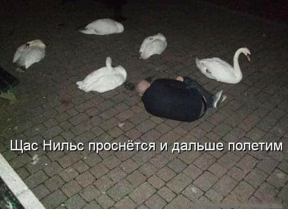 Отовсюду обо всем