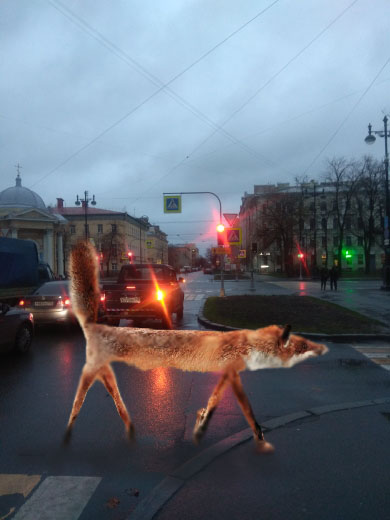 Так люди с утра скользят на работу