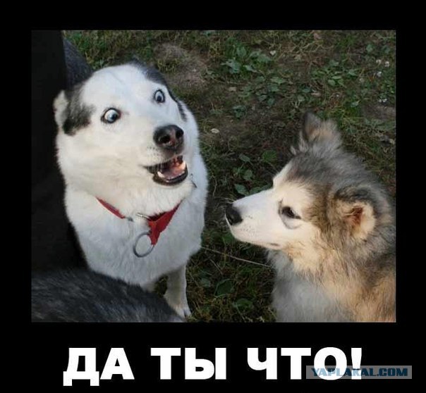 Уралвагонзавод начал выпуск духовных скреп