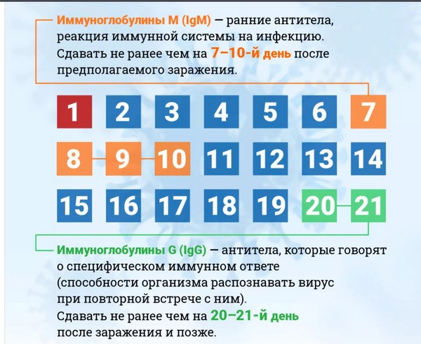 Пандемия. Коронавирус. Россия и мир. Последняя информация. Часть 22