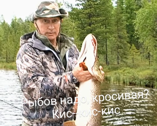 Картинки и мемы для настроения 05.08.2021