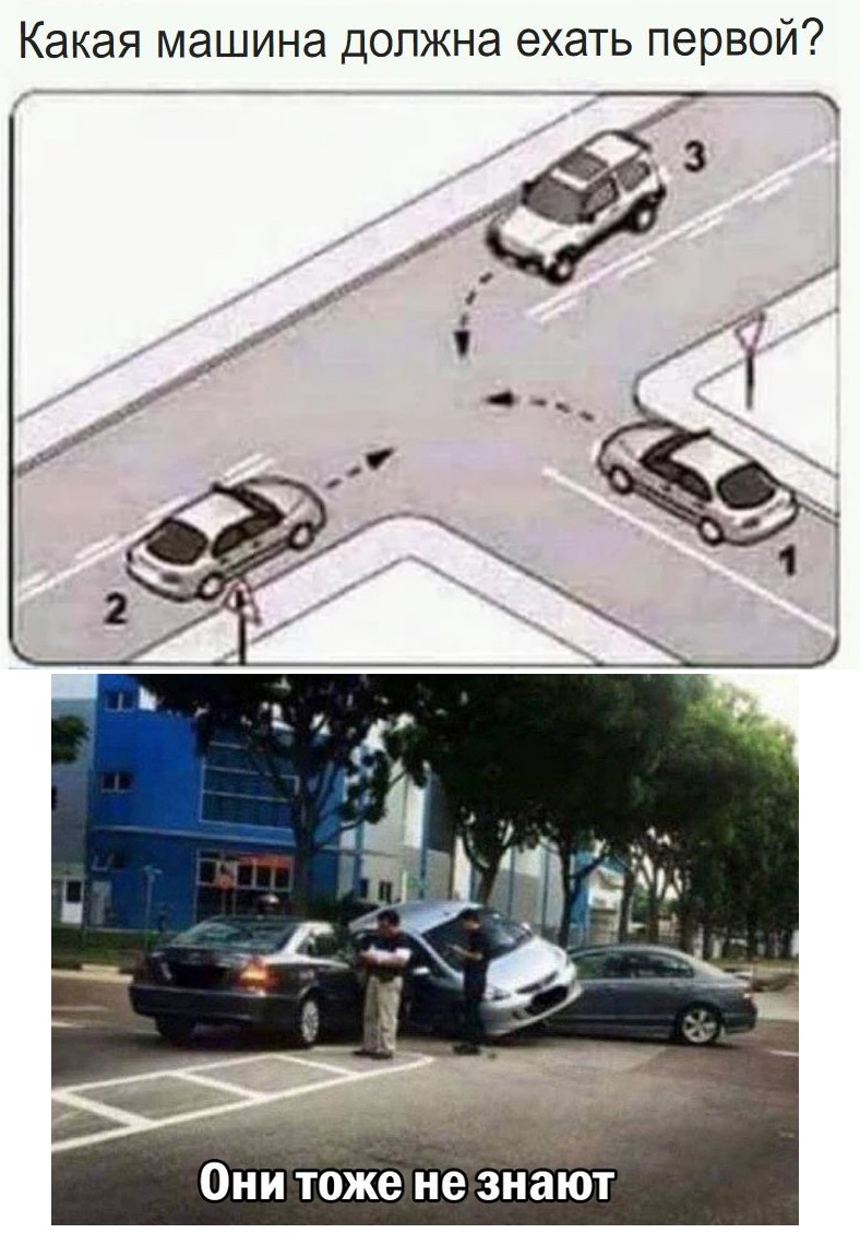 16064885.jpg