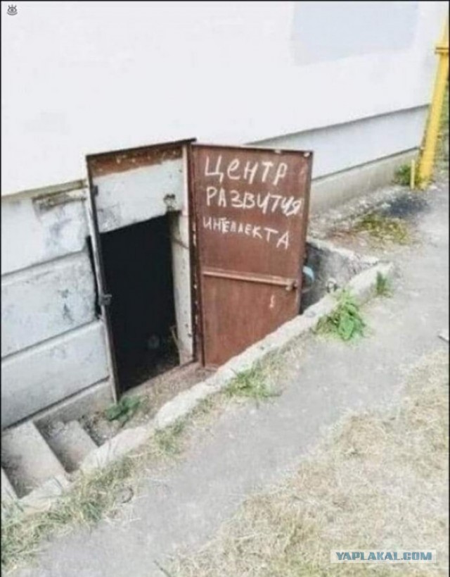 Полиция начала проверку из-за фото онлифанщицы* Натальи Масленниковой, снявшейся с поднятой юбкой на фоне Преображенской церкви