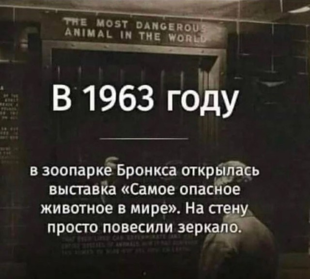 Белоруссия и Россия из-за военной активности у границ и обострения на Донбассе решили продолжить учения