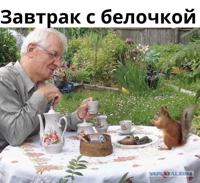 Так себе картинки 21.04.22