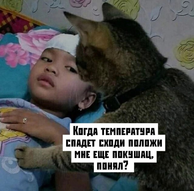 Картинки разные, картинки всякие. НУЖНЫ!