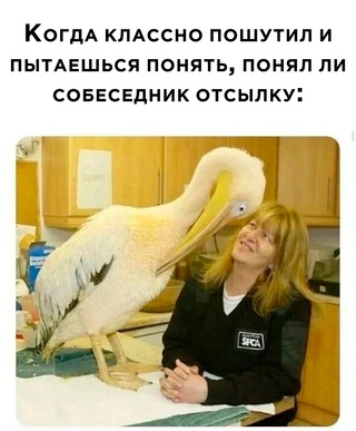Немного картинок для настроения - 131