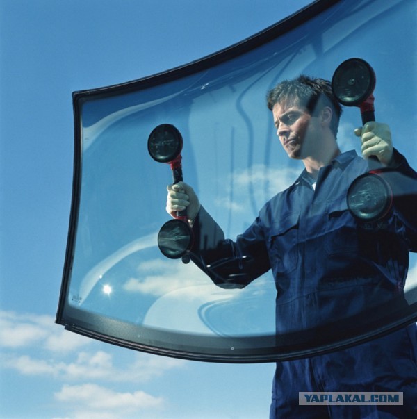 Полиция ищет сотрудницу ЦИК за наезд на пешехода