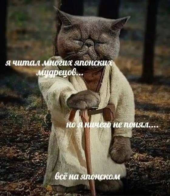 Какие вы книги прочитали последние?