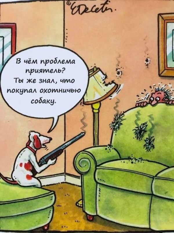 Картинки разные с надписями и без