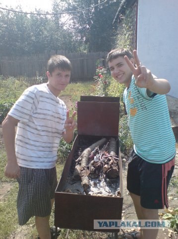 Дикие фото из социальных сетей