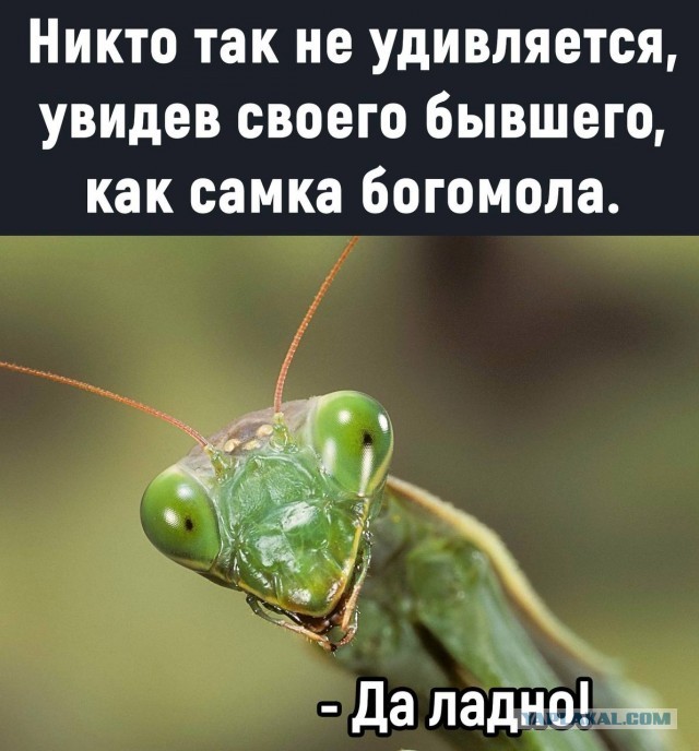 30 картинок на субботу