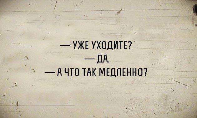 Веселые картинки в пятницу (21.02)