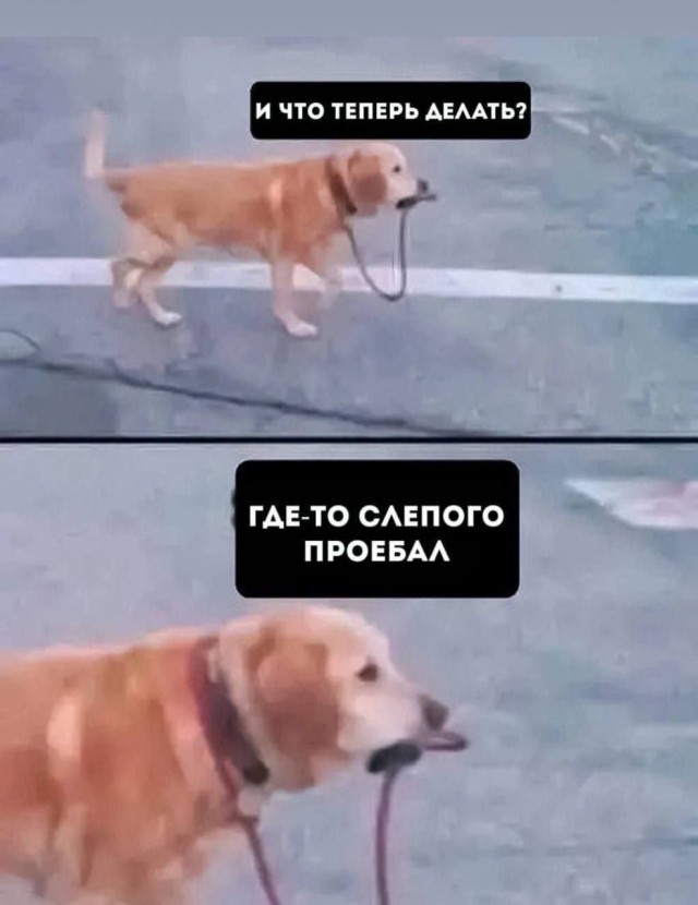 Народная меДИЧина 7030