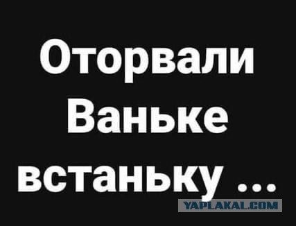 Отличного дня!