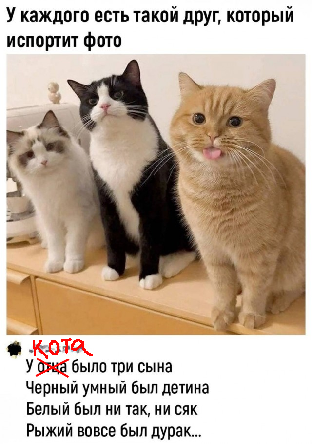 Так себе картинки 24.02.26