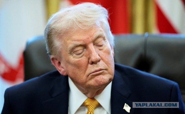 Трамп отреагировал на отказ союзников помогать США