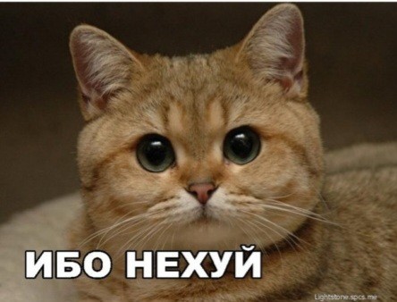Решил потискать чужого кота