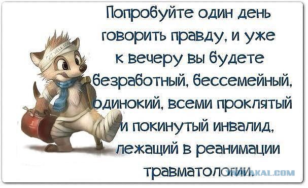 Александр Левкуша. Домайданился